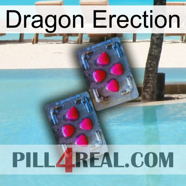 Dragon Erection 14.jpg